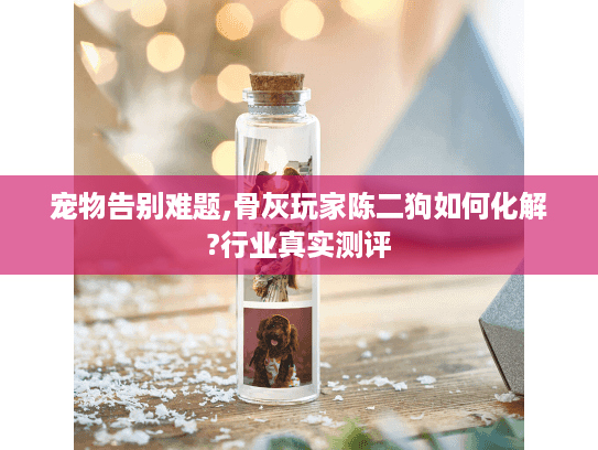 宠物告别难题,骨灰玩家陈二狗如何化解?行业真实测评