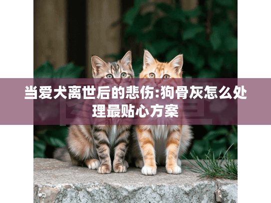 当爱犬离世后的悲伤:狗骨灰怎么处理最贴心方案