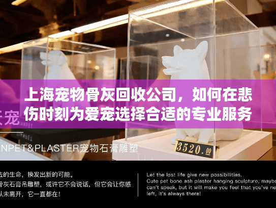 上海宠物骨灰回收公司，如何在悲伤时刻为爱宠选择合适的专业服务？