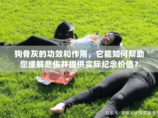 狗骨灰的功效和作用，它能如何帮助您缓解悲伤并提供实际纪念价值？