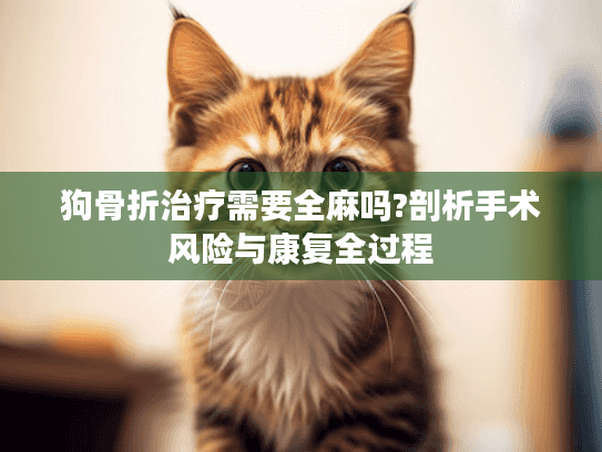 狗骨折治疗需要全麻吗?剖析手术风险与康复全过程
