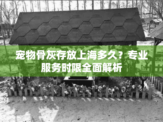 宠物骨灰存放上海多久？专业服务时限全面解析