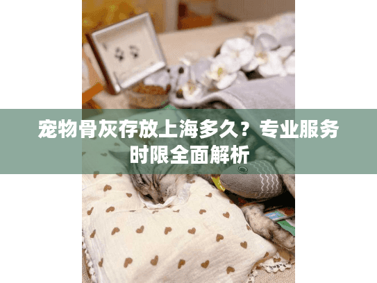 宠物骨灰存放上海多久？专业服务时限全面解析
