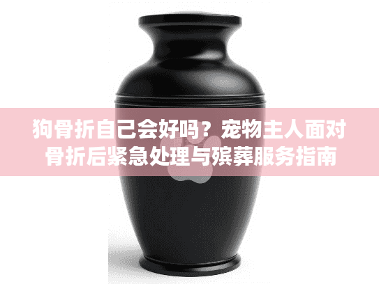 狗骨折自己会好吗？宠物主人面对骨折后紧急处理与殡葬服务指南