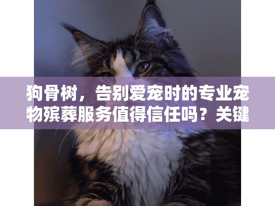 狗骨树，告别爱宠时的专业宠物殡葬服务值得信任吗？关键解答