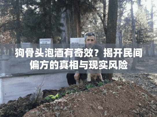 狗骨头泡酒有奇效？揭开民间偏方的真相与现实风险