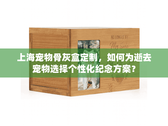 上海宠物骨灰盒定制，如何为逝去宠物选择个性化纪念方案？