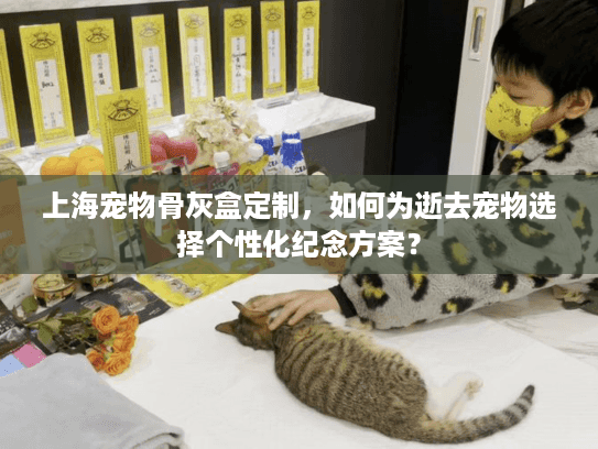 上海宠物骨灰盒定制，如何为逝去宠物选择个性化纪念方案？