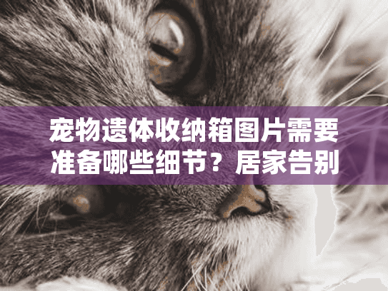 宠物遗体收纳箱图片需要准备哪些细节？居家告别全流程指南