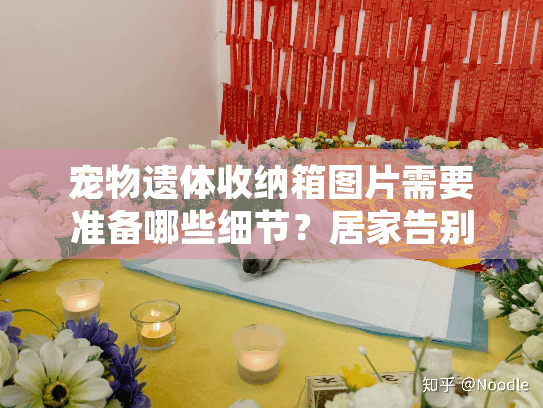宠物遗体收纳箱图片需要准备哪些细节？居家告别全流程指南