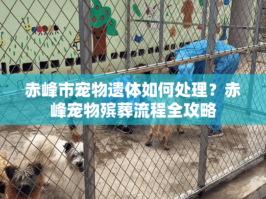 赤峰市宠物遗体如何处理？赤峰宠物殡葬流程全攻略
