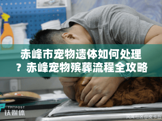赤峰市宠物遗体如何处理？赤峰宠物殡葬流程全攻略