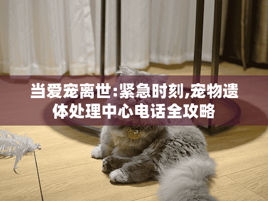当爱宠离世:紧急时刻,宠物遗体处理中心电话全攻略