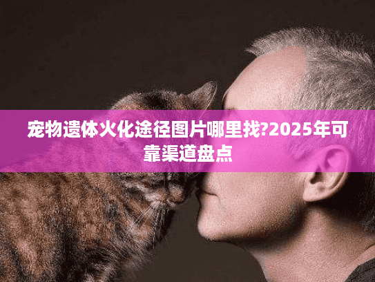 宠物遗体火化途径图片哪里找?2025年可靠渠道盘点