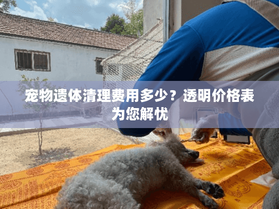宠物遗体清理费用多少？透明价格表为您解忧