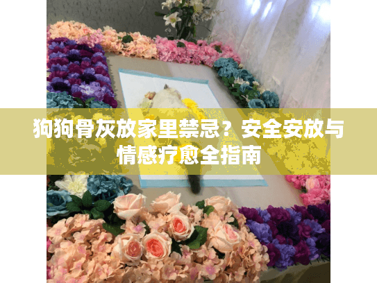 狗狗骨灰放家里禁忌？安全安放与情感疗愈全指南
