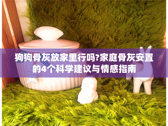 狗狗骨灰放家里行吗?家庭骨灰安置的4个科学建议与情感指南