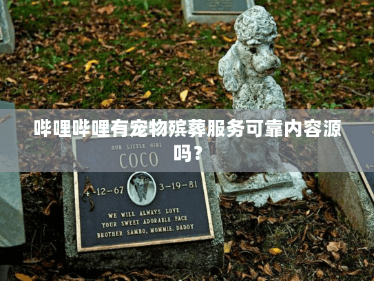 哔哩哔哩有宠物殡葬服务可靠内容源吗？