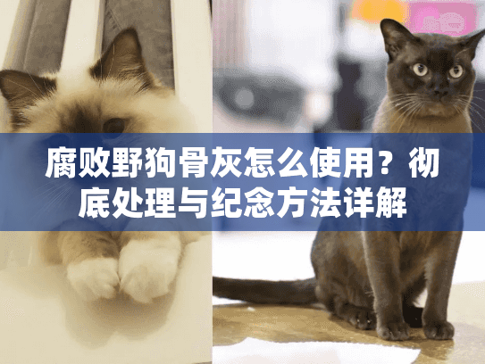 腐败野狗骨灰怎么使用?彻底处理与纪念方法详解 腐败野狗骨灰怎么使用?彻底处理与纪念方法详解