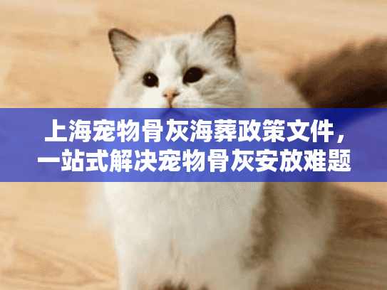 上海宠物骨灰海葬政策文件，一站式解决宠物骨灰安放难题