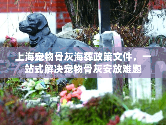 上海宠物骨灰海葬政策文件，一站式解决宠物骨灰安放难题