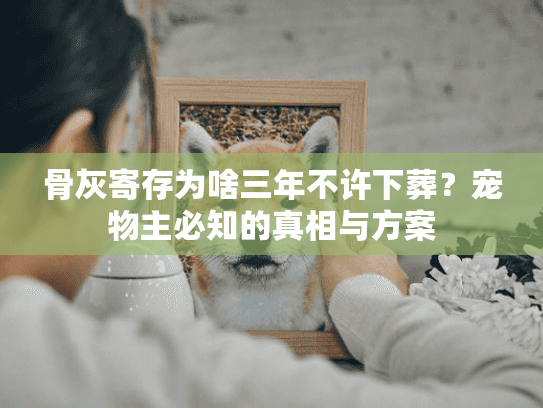 骨灰寄存为啥三年不许下葬？宠物主必知的真相与方案