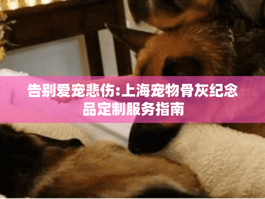 告别爱宠悲伤:上海宠物骨灰纪念品定制服务指南