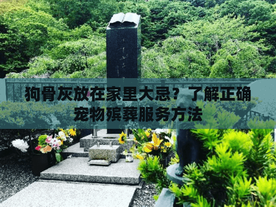 狗骨灰放在家里大忌？了解正确宠物殡葬服务方法
