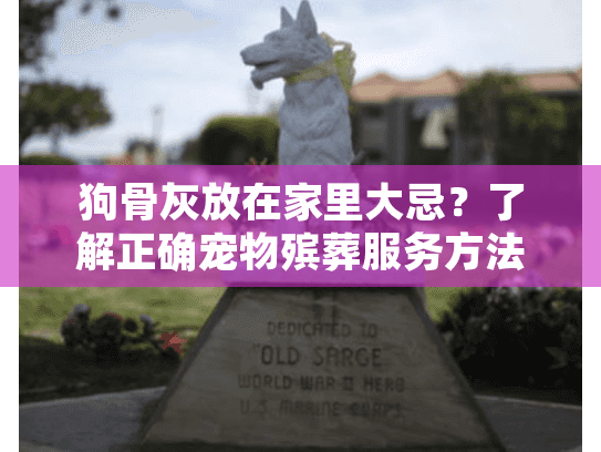 狗骨灰放在家里大忌？了解正确宠物殡葬服务方法