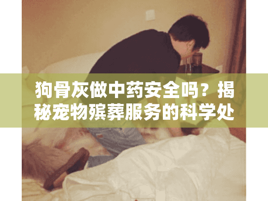 狗骨灰做中药安全吗？揭秘宠物殡葬服务的科学处理之道