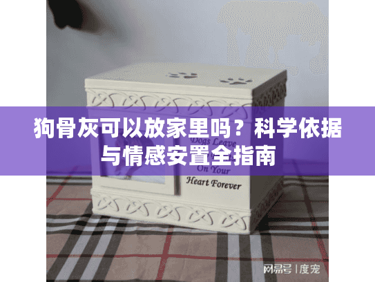 狗骨灰可以放家里吗？科学依据与情感安置全指南