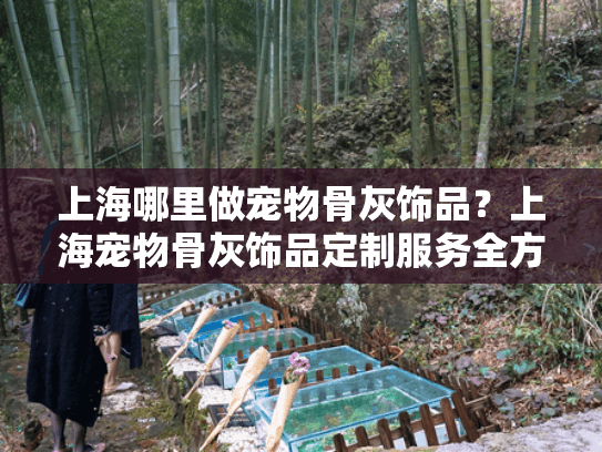 上海哪里做宠物骨灰饰品？上海宠物骨灰饰品定制服务全方位指南