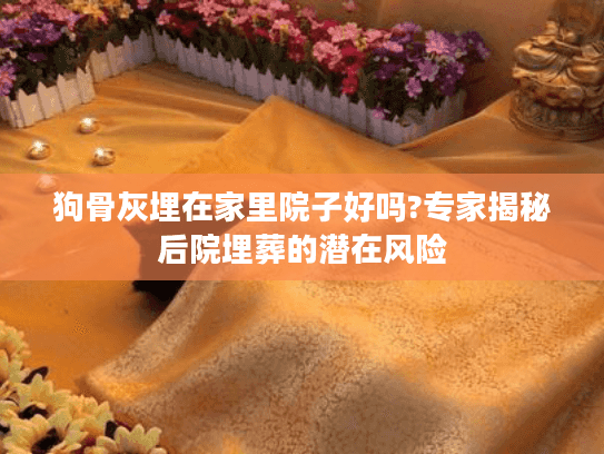 狗骨灰埋在家里院子好吗?专家揭秘后院埋葬的潜在风险