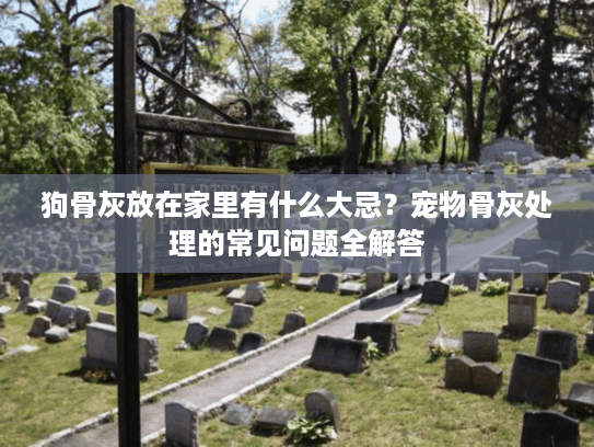 狗骨灰放在家里有什么大忌？宠物骨灰处理的常见问题全解答