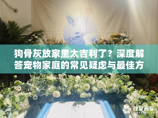 狗骨灰放家里太吉利了？深度解答宠物家庭的常见疑虑与最佳方案