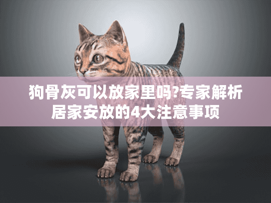 狗骨灰可以放家里吗?专家解析居家安放的4大注意事项