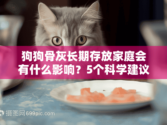 狗狗骨灰长期存放家庭会有什么影响？5个科学建议与情感指南