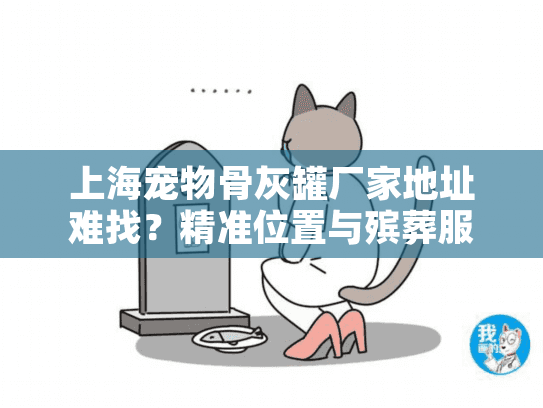 上海宠物骨灰罐厂家地址难找？精准位置与殡葬服务全解