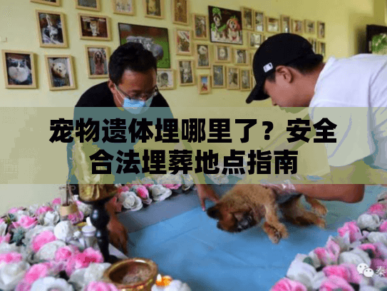 宠物遗体埋哪里了？安全合法埋葬地点指南