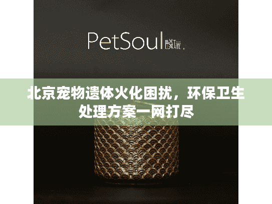 北京宠物遗体火化困扰，环保卫生处理方案一网打尽