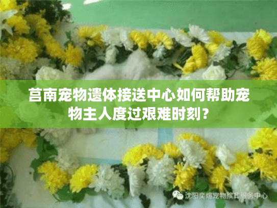 莒南宠物遗体接送中心如何帮助宠物主人度过艰难时刻？