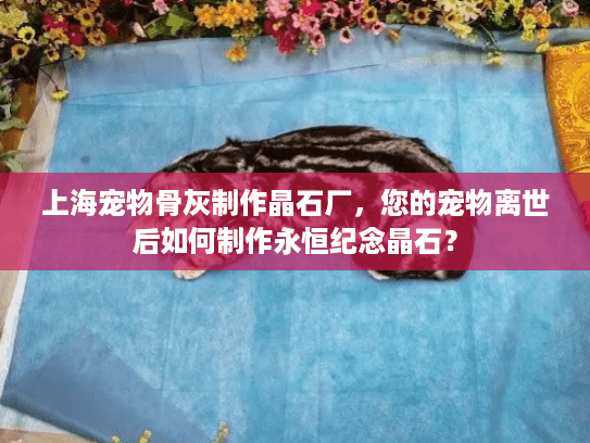 上海宠物骨灰制作晶石厂，您的宠物离世后如何制作永恒纪念晶石？