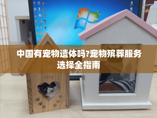 中国有宠物遗体吗?宠物殡葬服务选择全指南