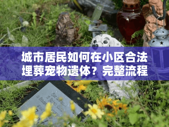 城市居民如何在小区合法埋葬宠物遗体？完整流程详解