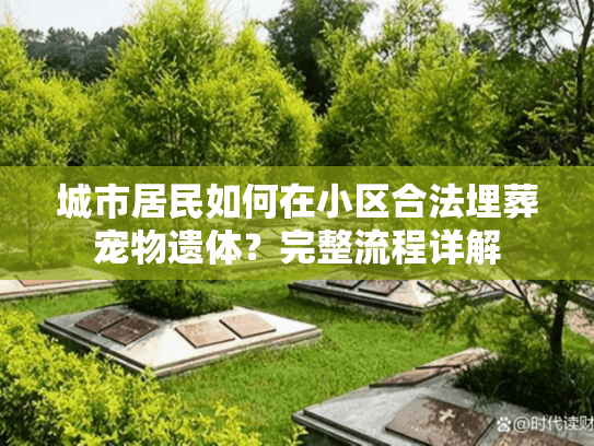 城市居民如何在小区合法埋葬宠物遗体？完整流程详解
