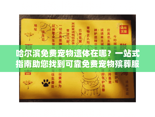 哈尔滨免费宠物遗体在哪？一站式指南助您找到可靠免费宠物殡葬服务