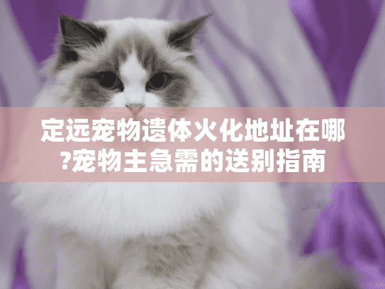 定远宠物遗体火化地址在哪?宠物主急需的送别指南