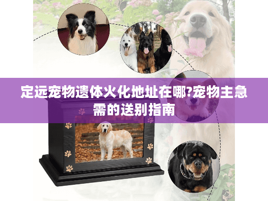 定远宠物遗体火化地址在哪?宠物主急需的送别指南