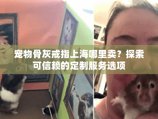 宠物骨灰戒指上海哪里卖？探索可信赖的定制服务选项