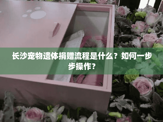 长沙宠物遗体捐赠流程是什么？如何一步步操作？